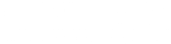 LeeLex Group White logo